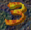 403 Visitors